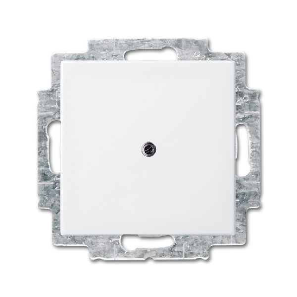 ST. CPL BLIND+DRAAGRAAM SI-B 2538-914 BUSCH-JAEGER - 10178086