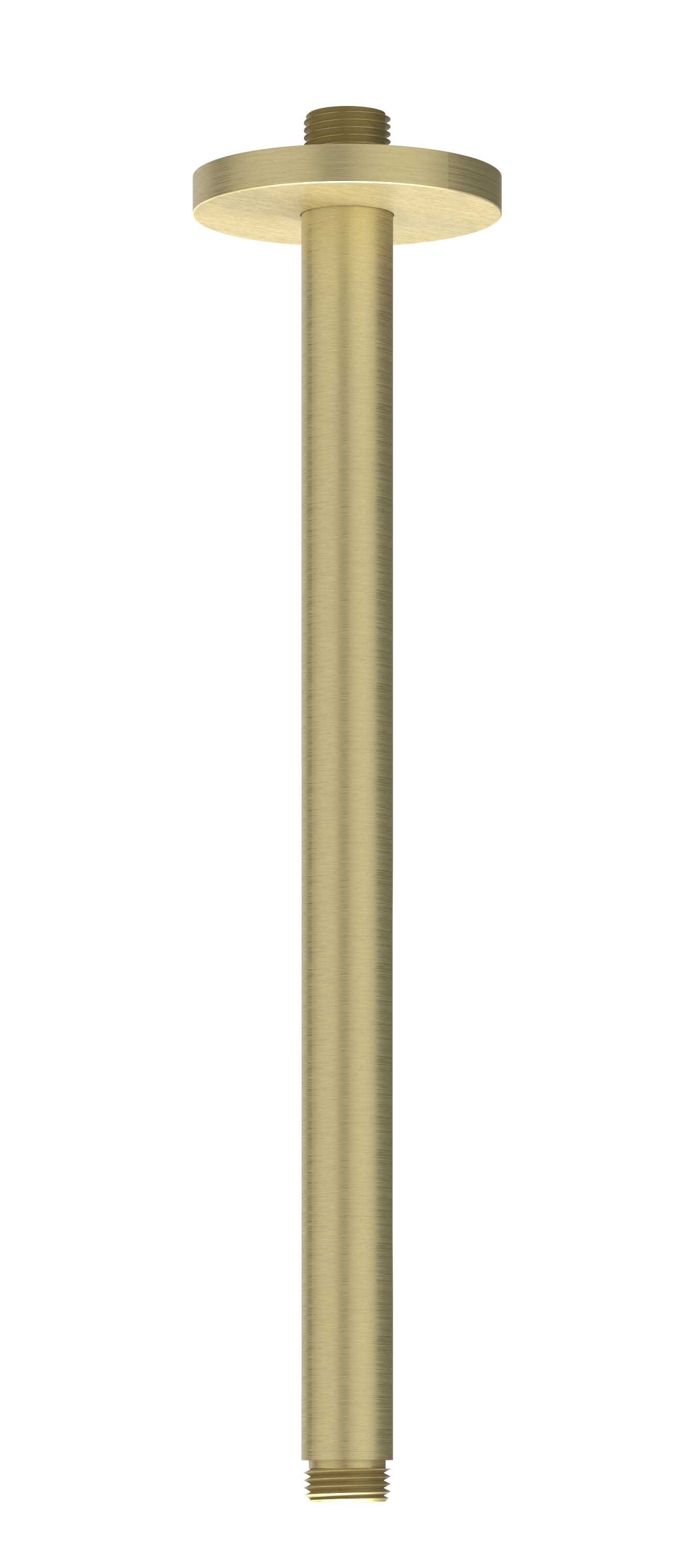 IVY Toebehoren Plafondbuis 30cm 1/2 6901662 RVS316 gebr. mat goud PVD