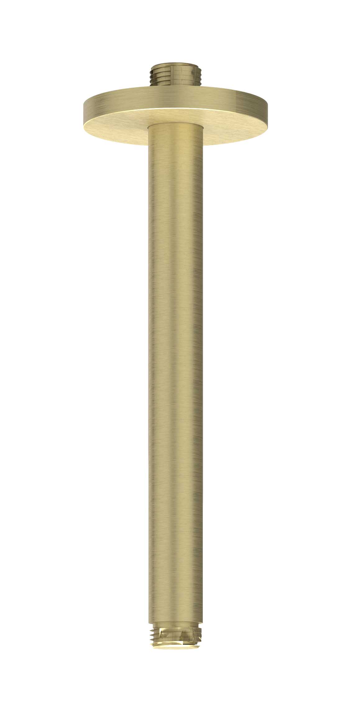 IVY Toebehoren Plafondbuis 20cm 1/2 6901612 RVS316 gebr. mat goud PVD