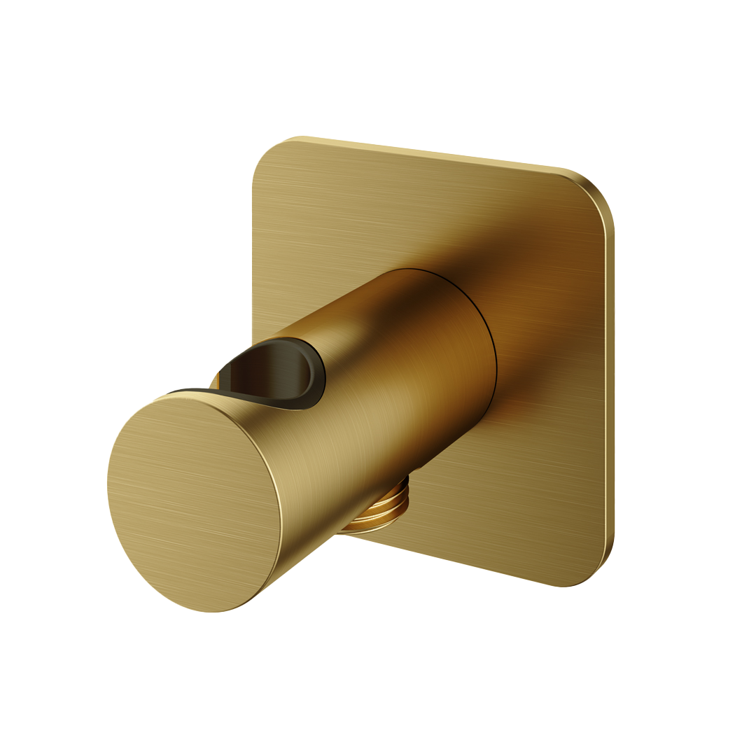 Hotbath Gal wandsteun m. Uitlaat GL515BBP Geborsteld Messing PVD