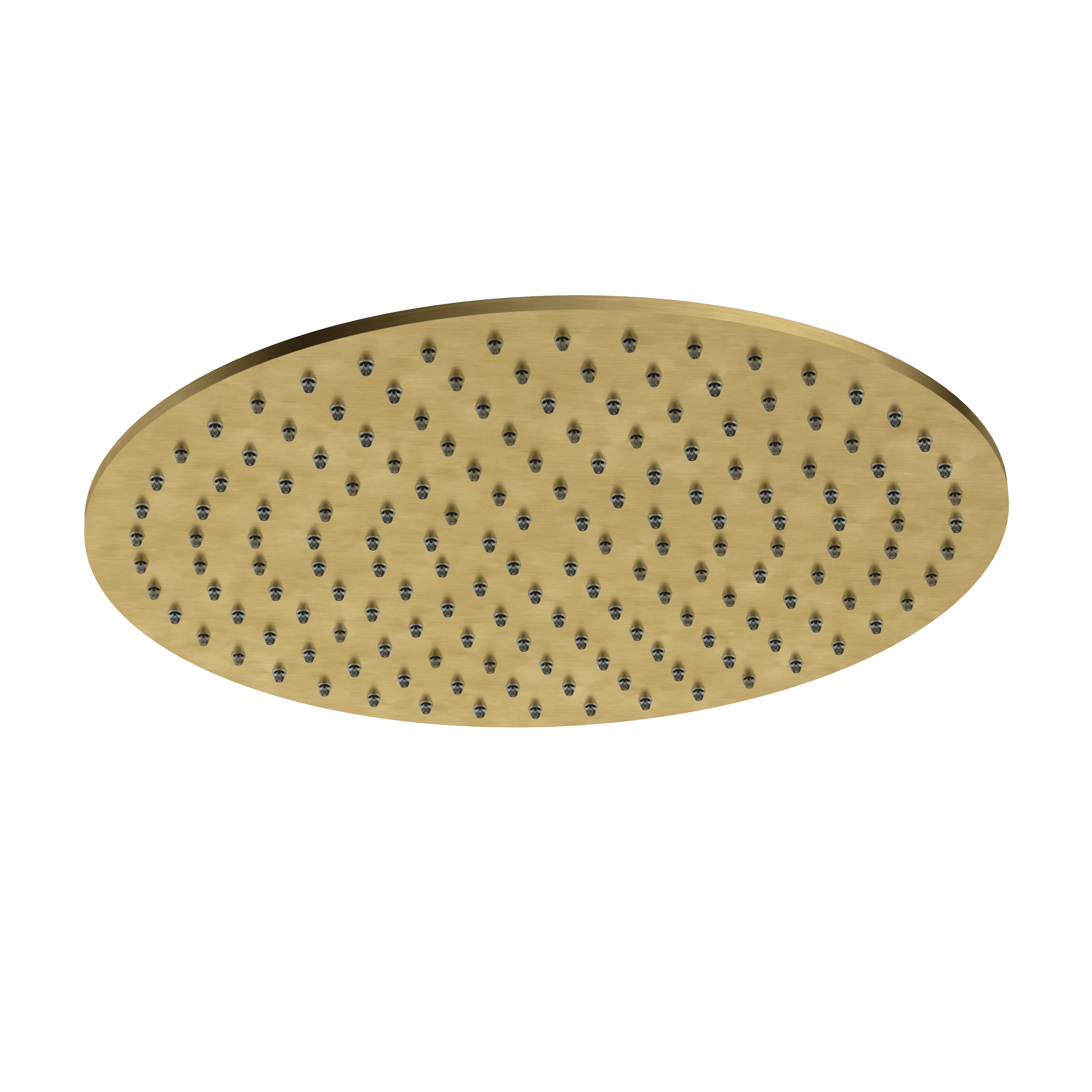 Hotbath Archie hoofddouche 300 mm AR106BBP Geborsteld Messing PVD