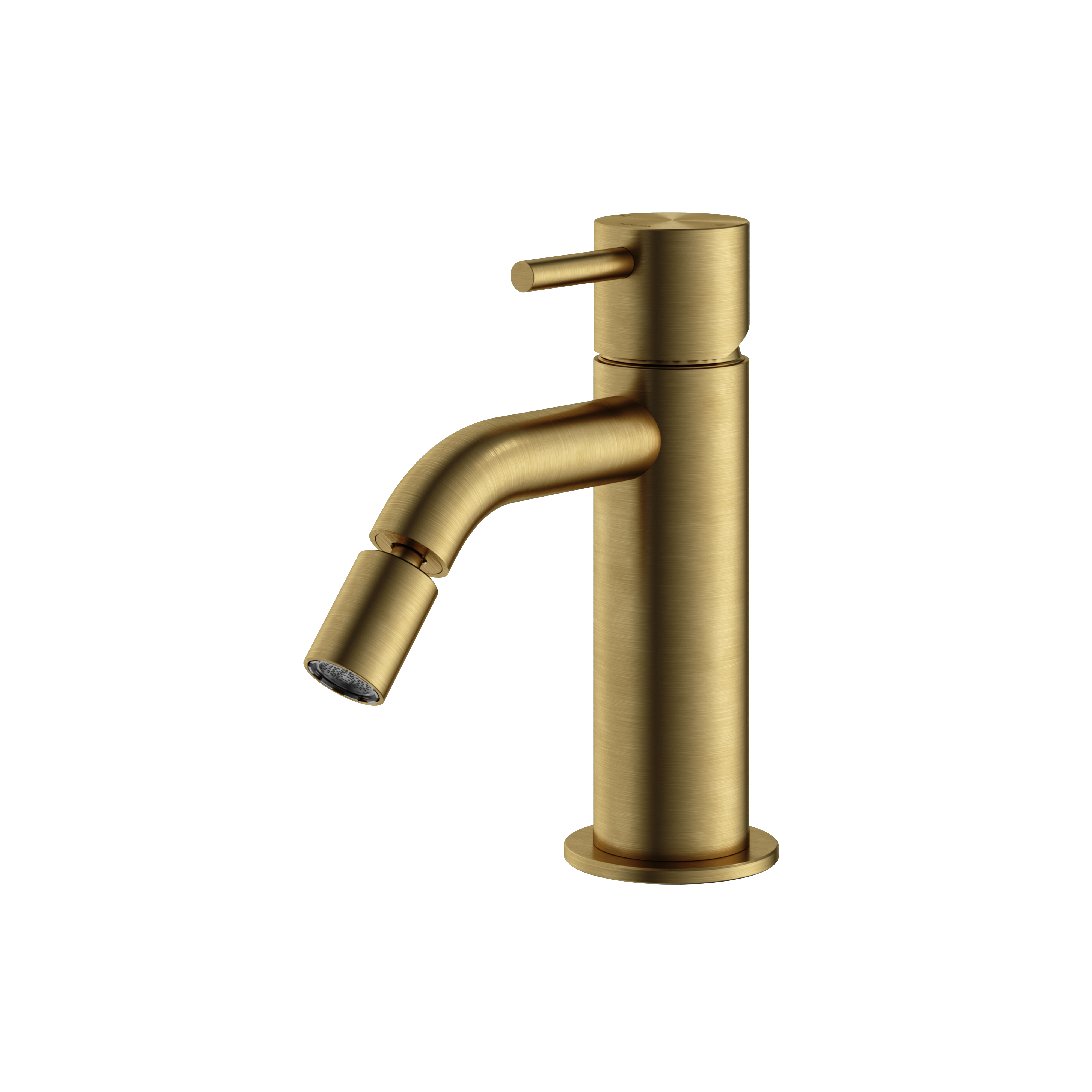 Hotbath Archie bidetmengkraan AR018BBP Geborsteld Messing PVD