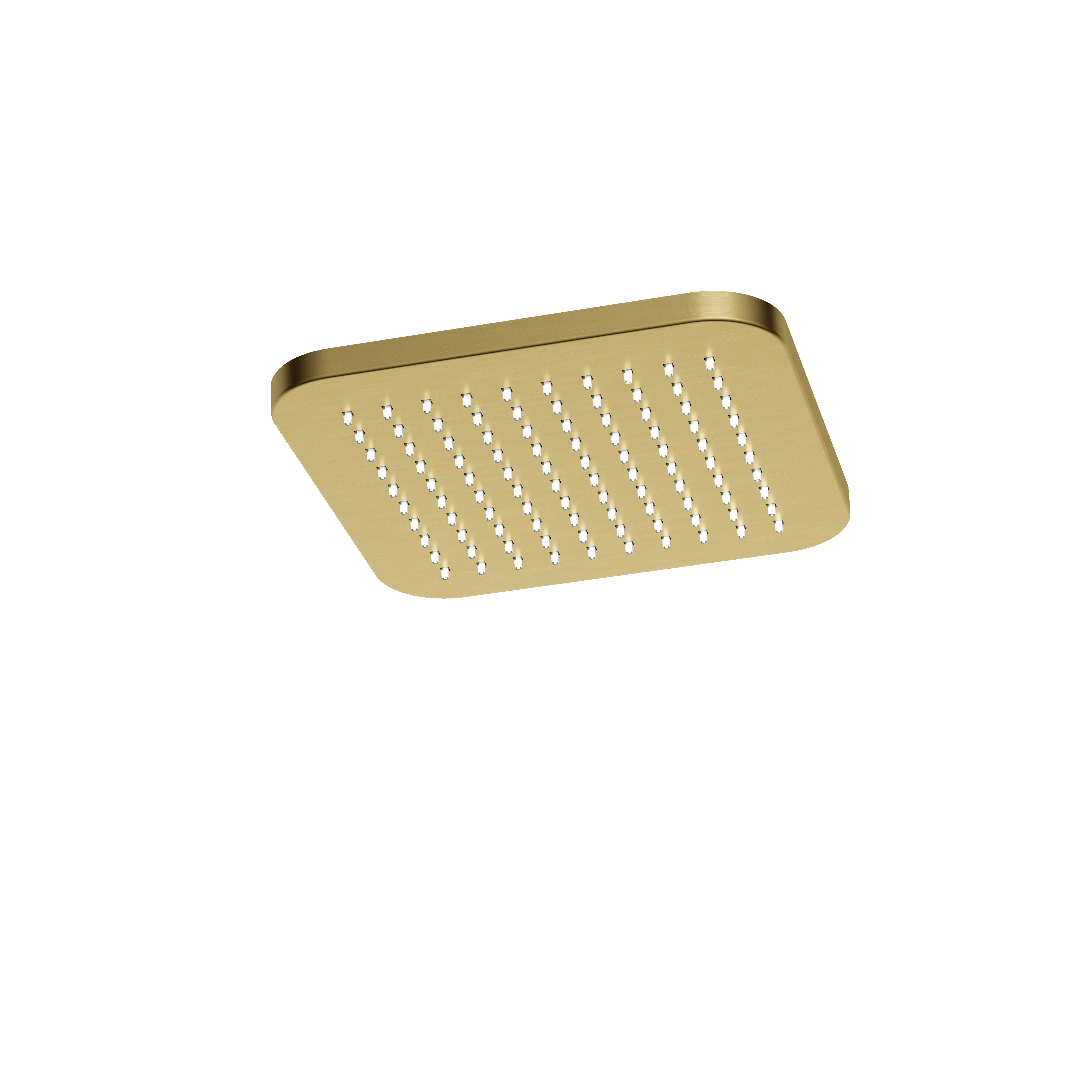 Hotbath Gal hoofddouche vierkant 22 cm GL100BBP Geborsteld Messing PVD